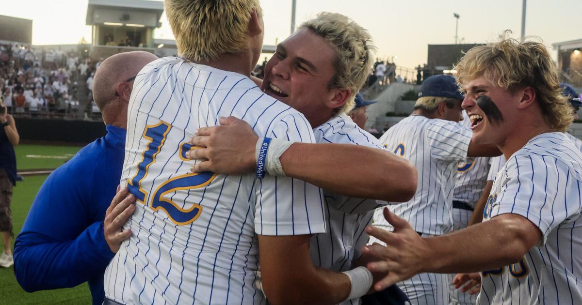 Eagles baseball completes trio of WD teams at state