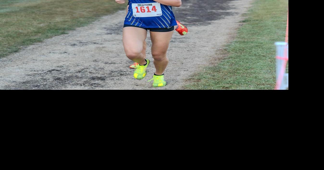 Local runners qualify for state cross country meet | Sports ...