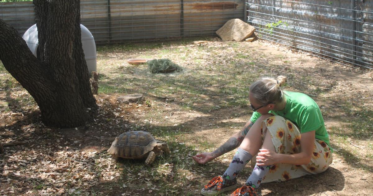 LIVING WILD: Sanctuary for reptiles and amphibians thriving in Mineral Wells | Mineral-wells