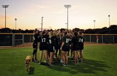 Wc Softball Has High Expectations For 2020 Sports