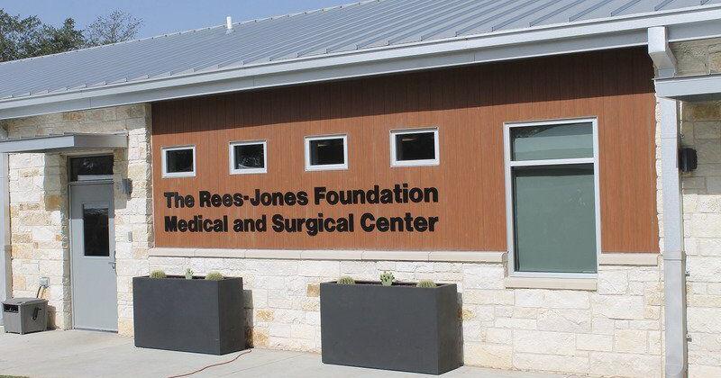 Grand opening held for shelter's new medical center - Vimarsana News