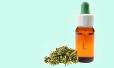 Where to Buy CBD in Florida - CannaMD