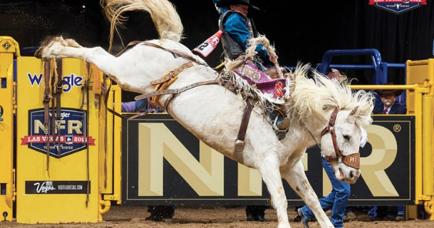 WNFR Round 7: Saddle bronc rider Logan Hay makes it three consecutive ...