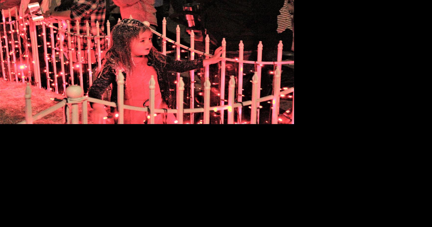 PHOTO GALLERY 2018 Celebration of Lights News