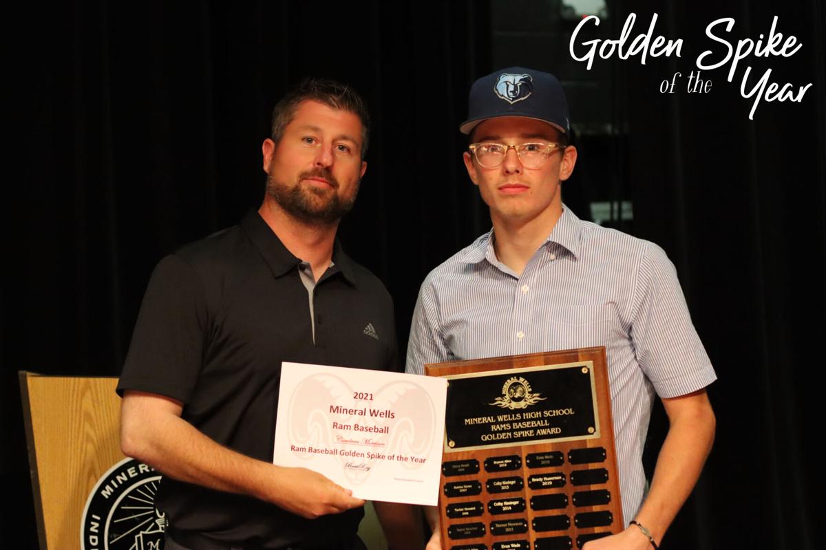 Golden Spike