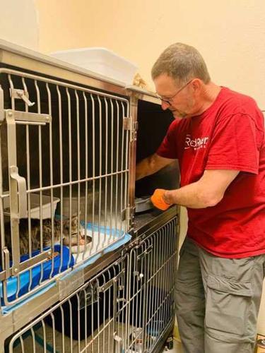 Mineral Wells shelter gets assistance after massive surrender of animals |  Local News 