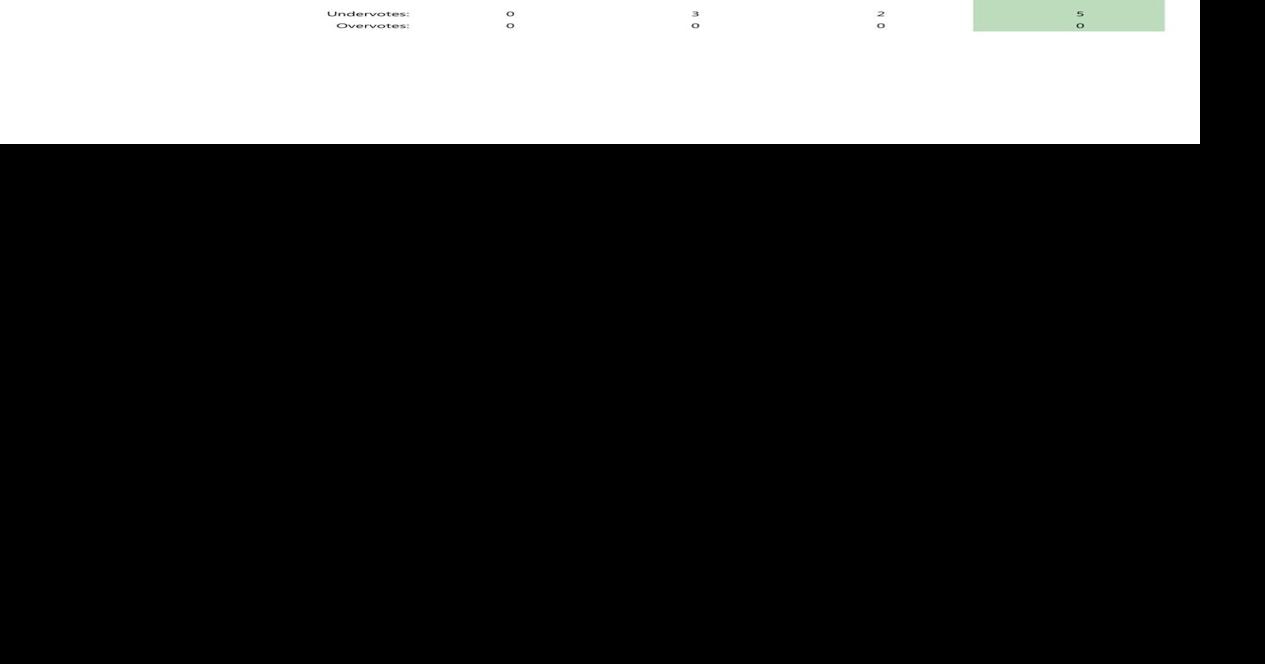 Palo Pinto County voting results