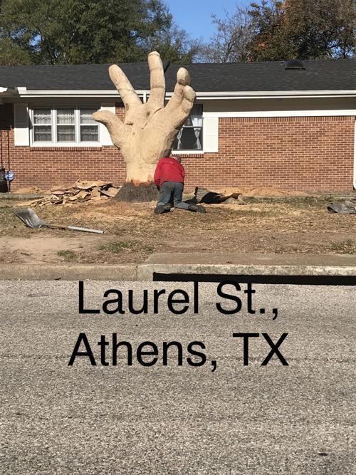 11-23-21 Laurel Street Carving.jpg