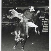 Ward to be inducted into Rodeo Hall of Fame | Local News ...