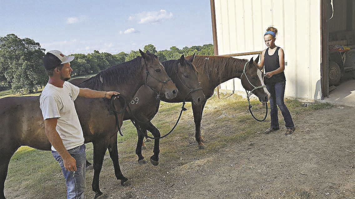 Cutting horse vet's horses slated for slaughter News
