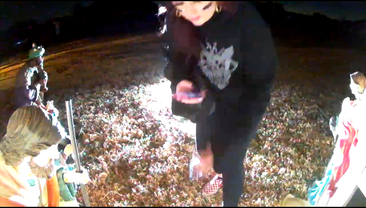 Pcso Investigates Theft Of Nativity Yard Decorations News