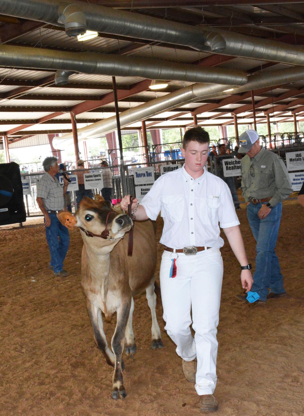 PHOTO GALLERY Parker County Youth Livestock Show, Day 1 Gallery