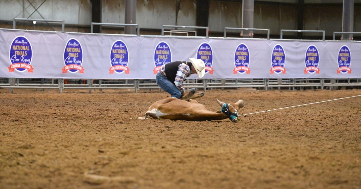 WCโs Sorey wins National Finals Steer Roping title Sports