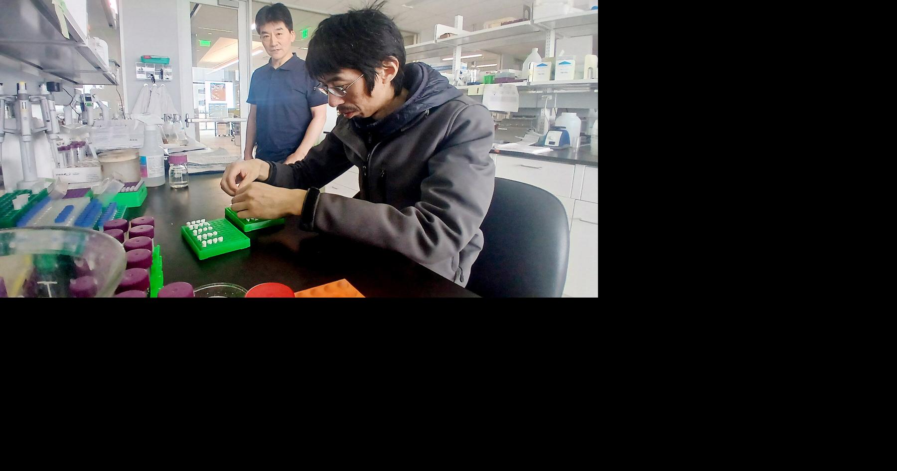 Research advances plant immunity against evolving pathogens