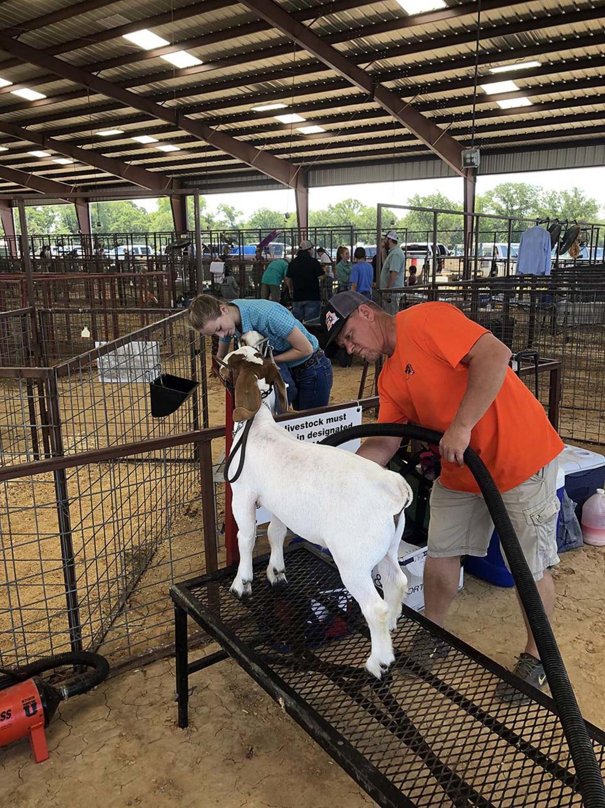 GALLERY Parker County Youth Livestock Show Monday Gallery