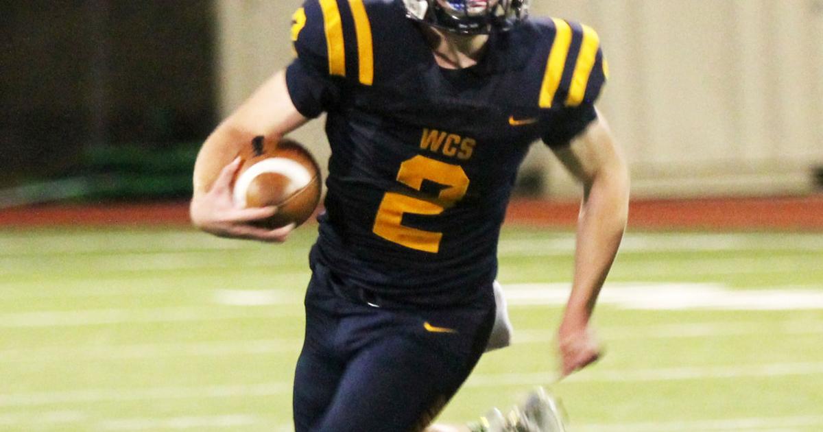 A look back at the 2018 WCS Lions | Sports | weatherforddemocrat.com