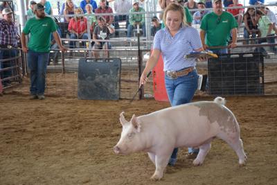 Poolville's Key shows Grand Champion Market Hog | News