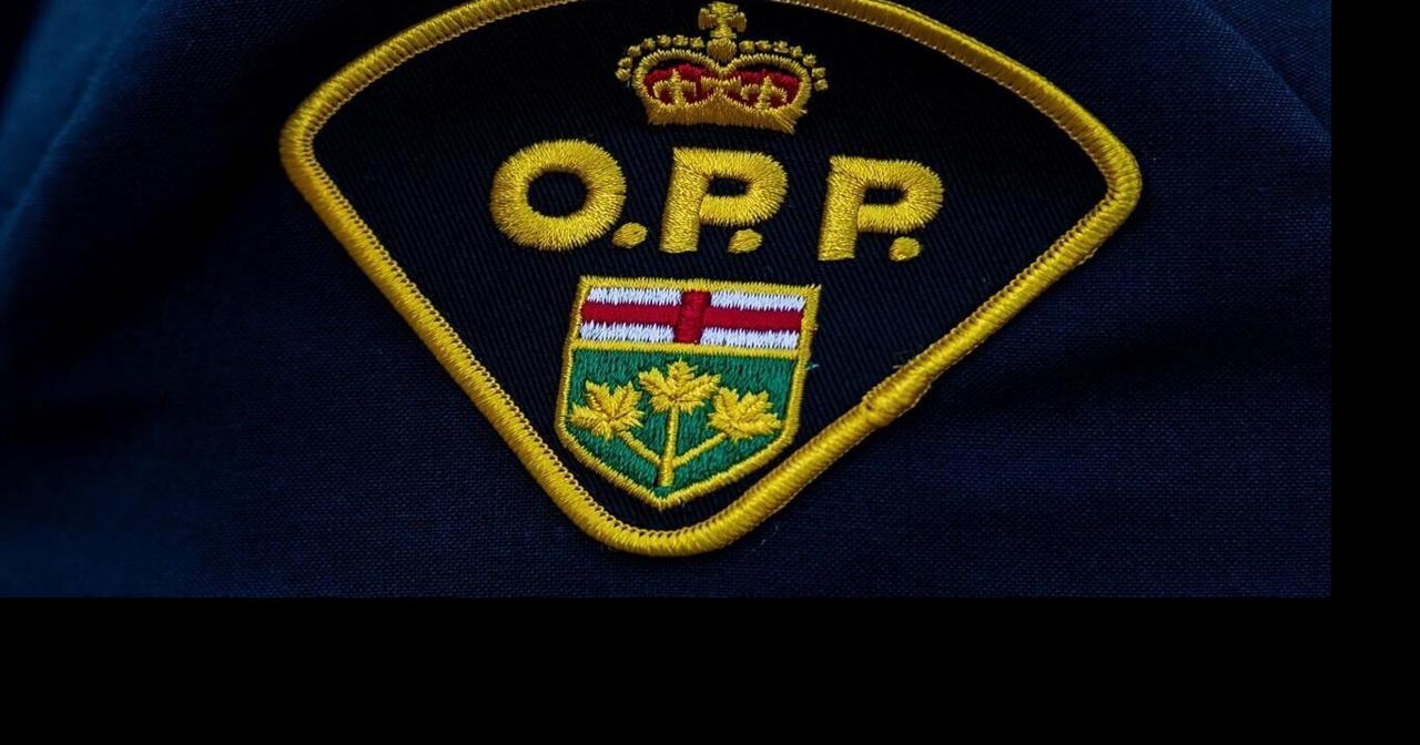 Court tosses ‘random’ drug sweeps at Thunder Bay airport. Same judge wrongly gave OPP right to search Ontario Northland buses
