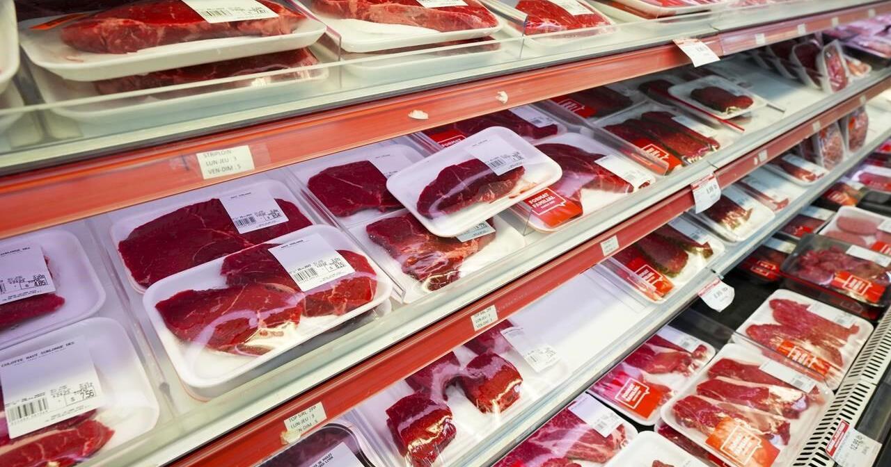 Food driving inflation lower, but groceries much more costly than a few years ago - Vimarsana News