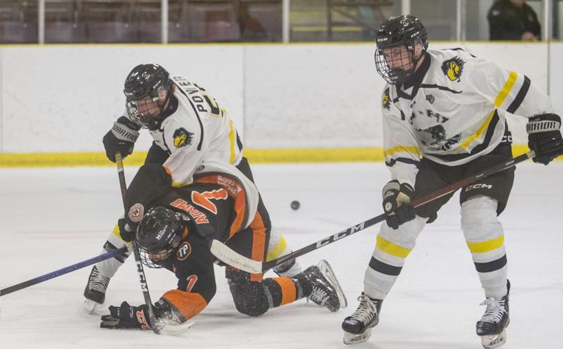 Golden Horseshoe Conference juniorB hockey report