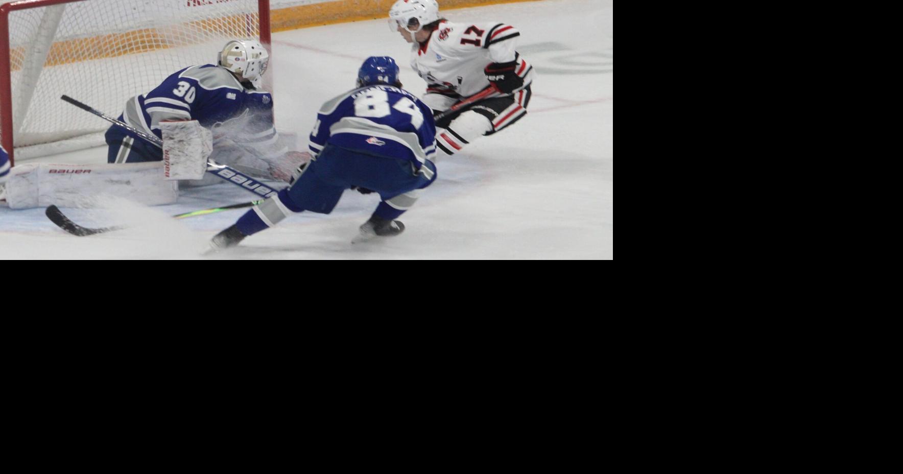 IceDogs seeking young pups: Niagara heads into OHL draft with 16 picks