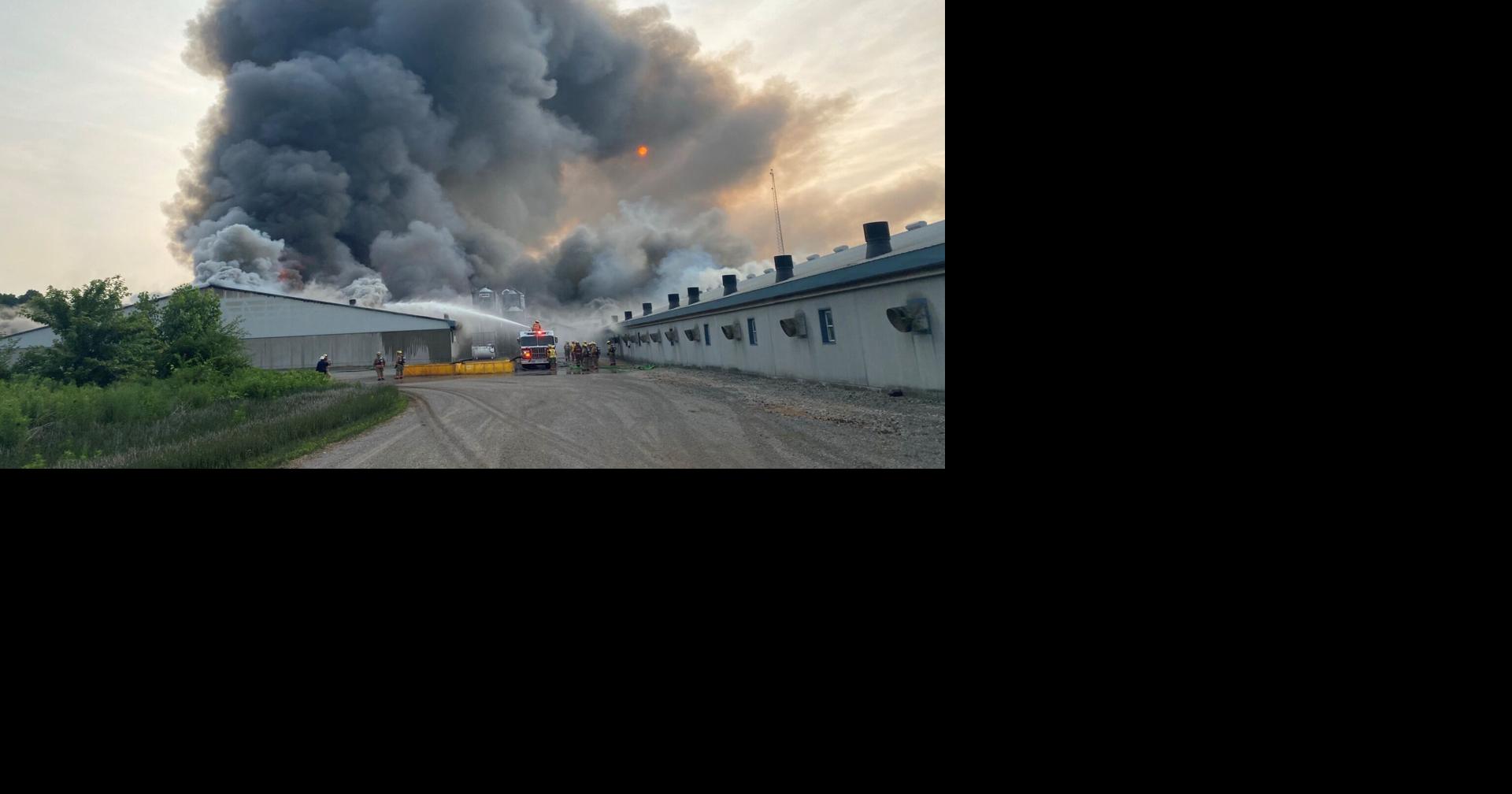 Barn fire outside Simcoe kills at least 20,000 pigs
