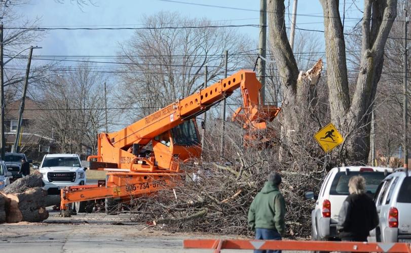 Niagara left to clean up after weekend windstorm