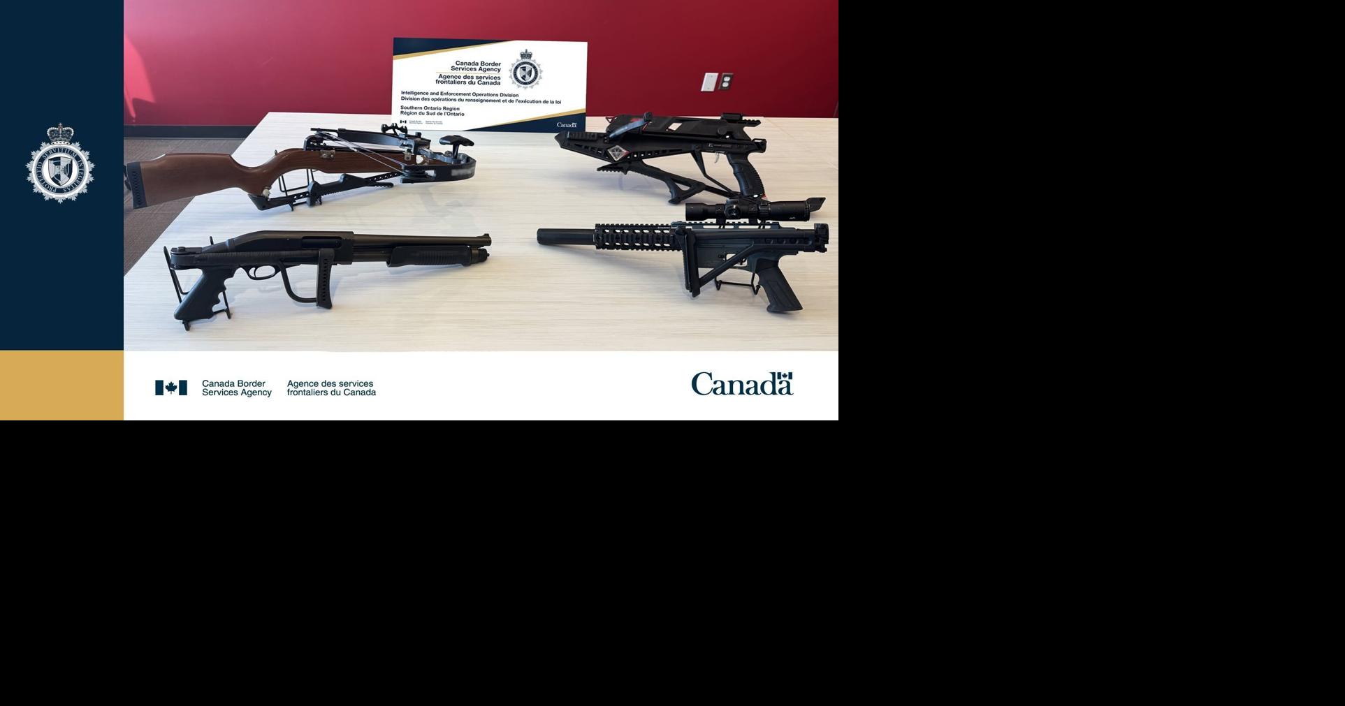 Welland man pleads guilty to attempting to smuggle stun guns into Canada