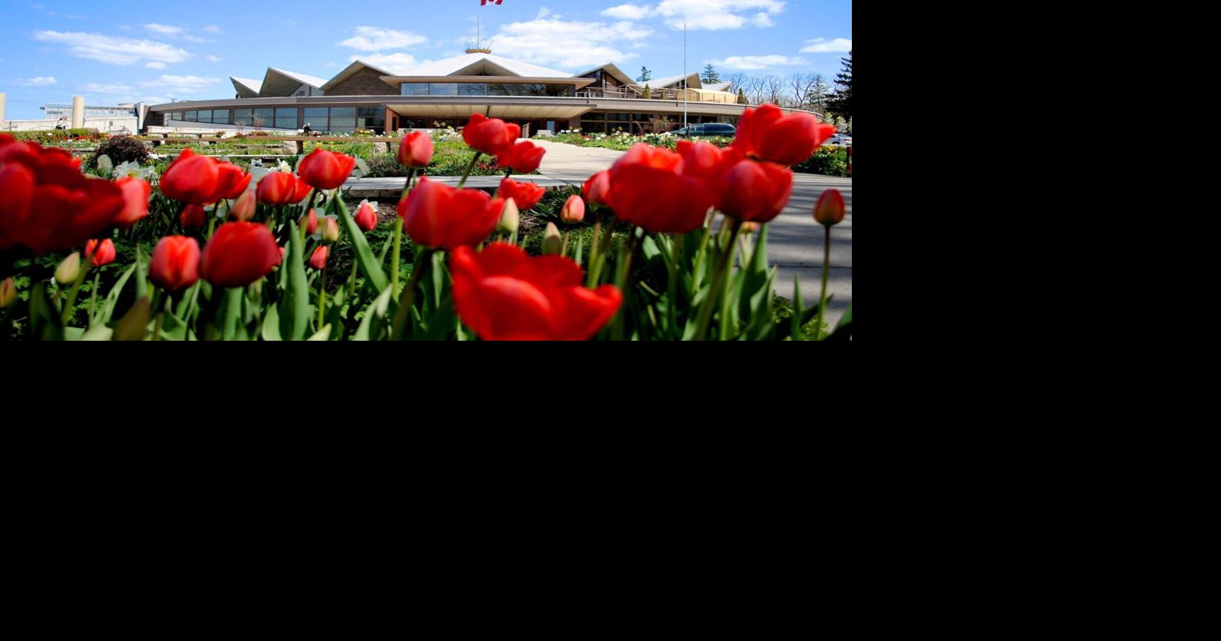 Stratford Festival 2026: Your complete guide to all the shows this season