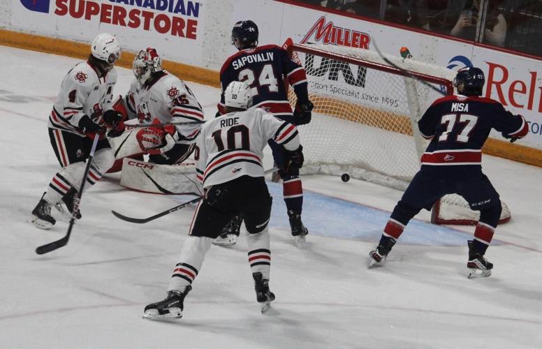 IceDogs collect toys in Teddy Bear Toss Game