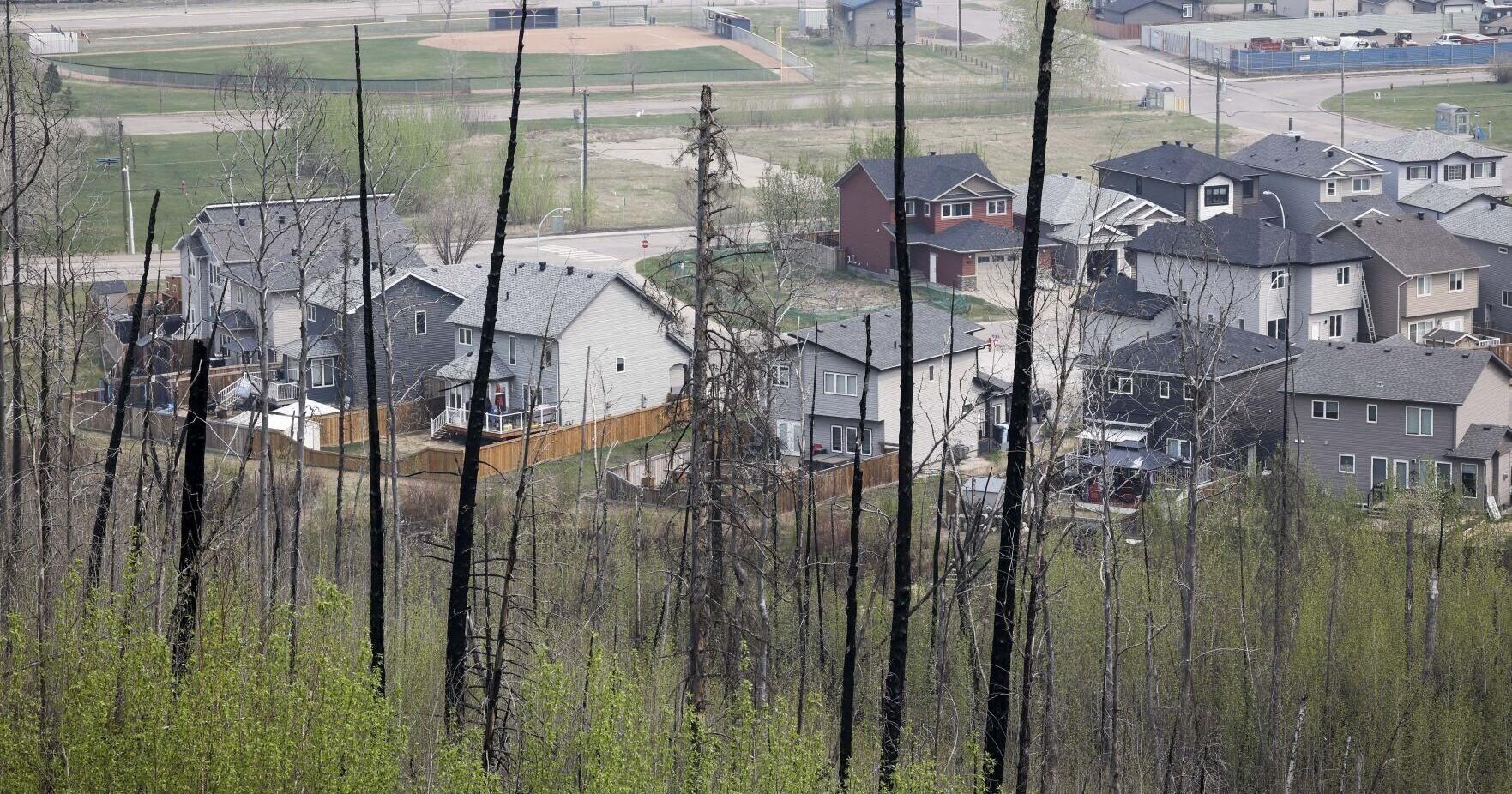 Meta's news ban is fueling fear as wildifire season heats up - Vimarsana News