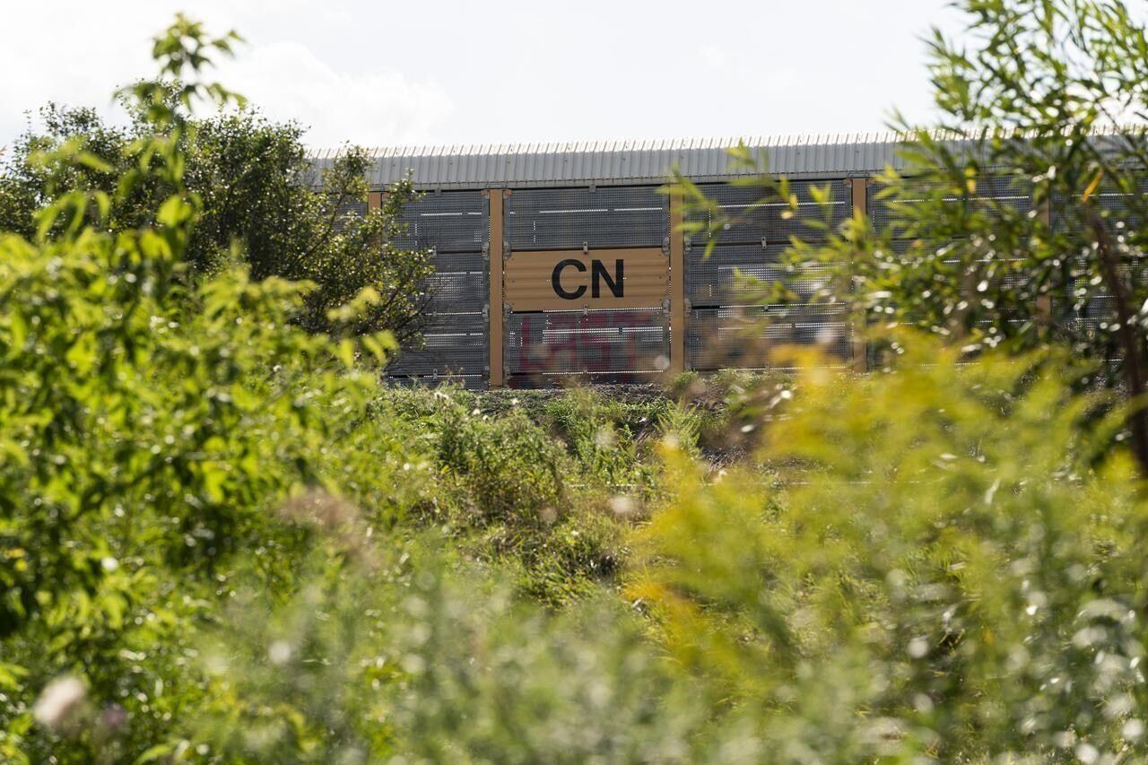 "Deeply disappointed" Jasper mayor says CN Rail relocation will be