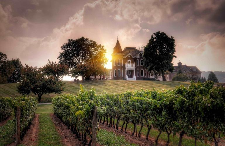 Niagara winery guide 2024 A wine expert on where to go