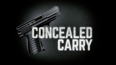 New NY Gun Safety laws go into effect starting Friday | | weny.com