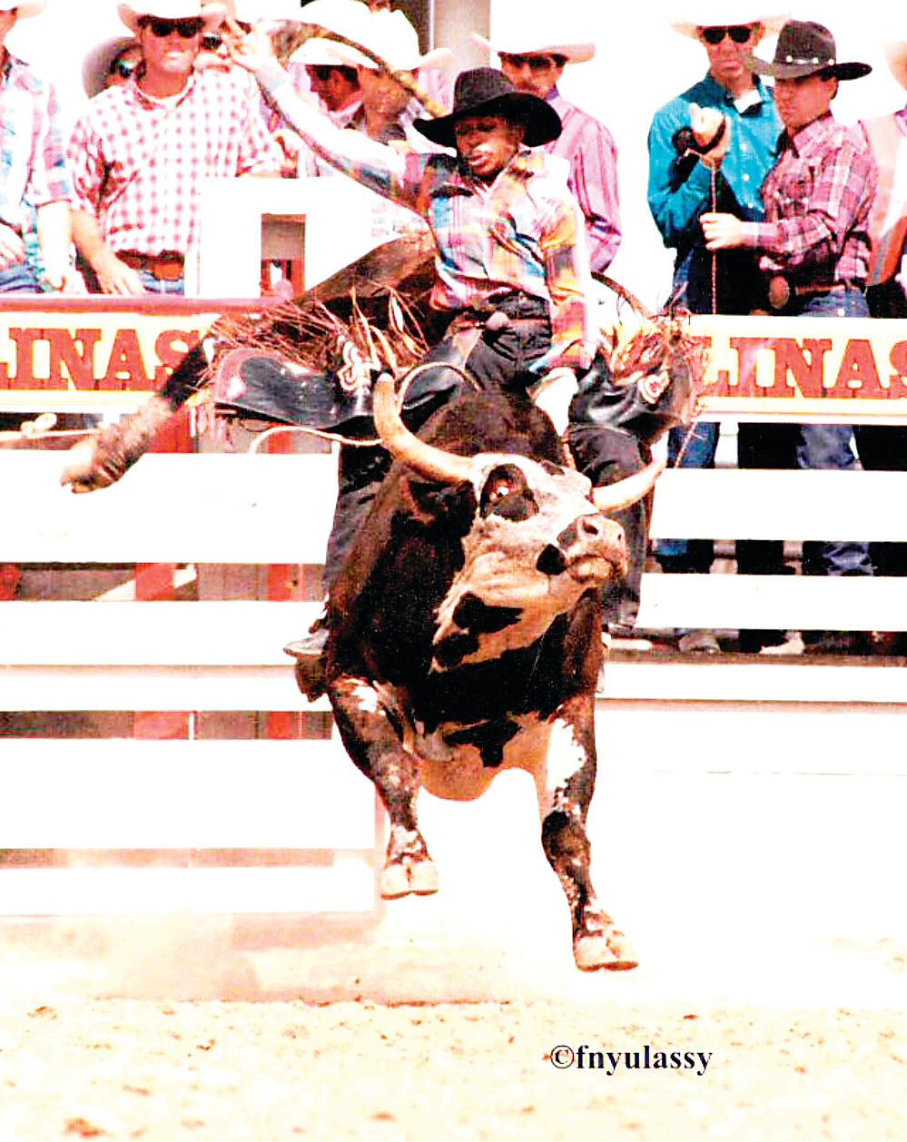 Thornton bull rider to be inducted into hall of fame | Archives ...