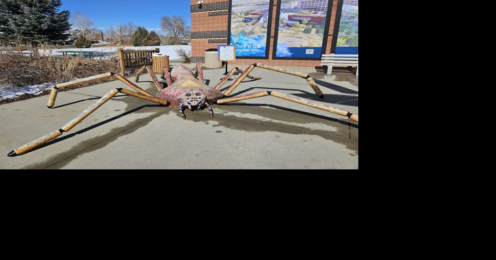 Don’t squash those bugs; protect them, say CSU and the Butterfly ...