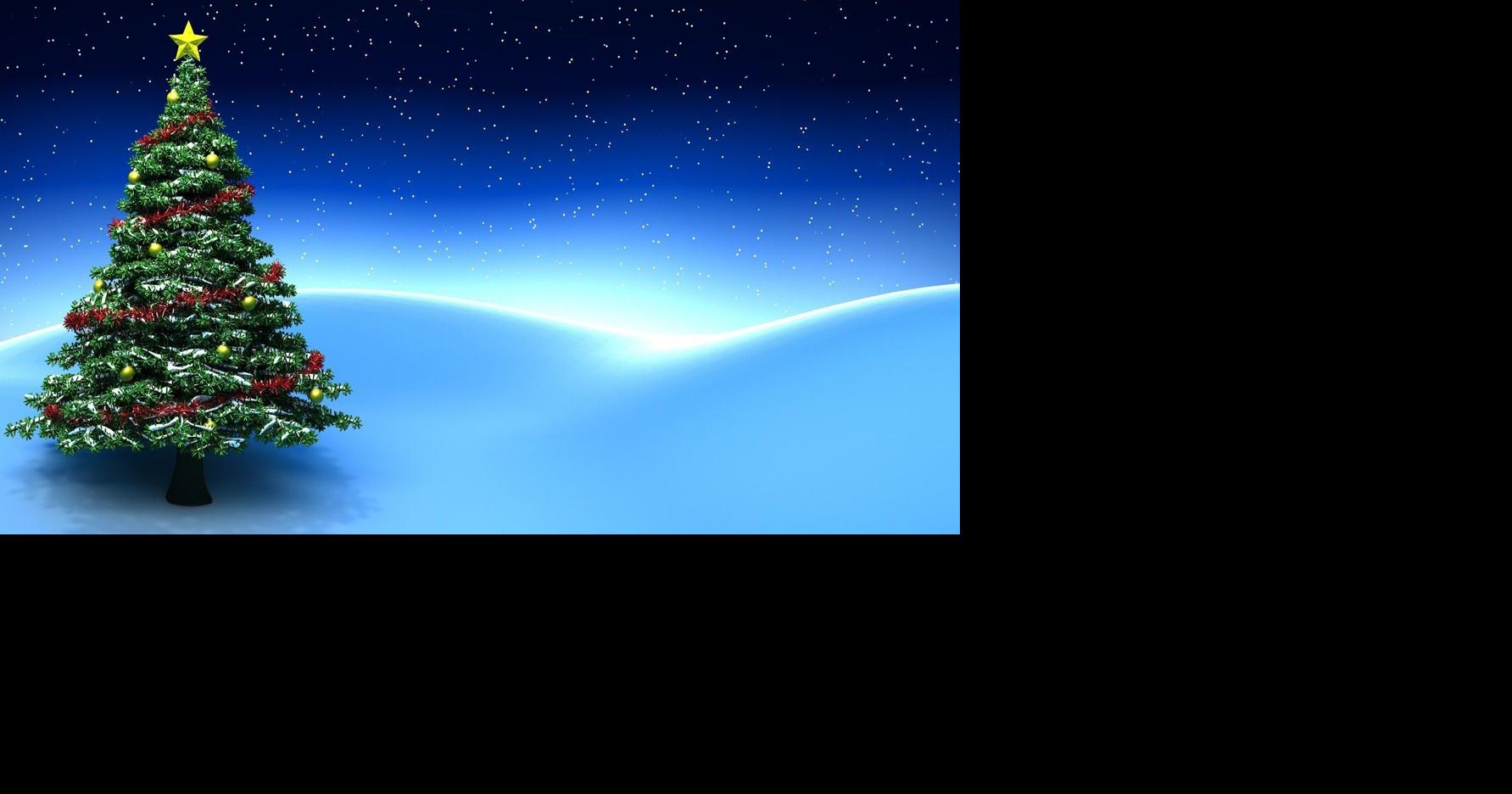 Avondale residents can recycle Christmas trees News