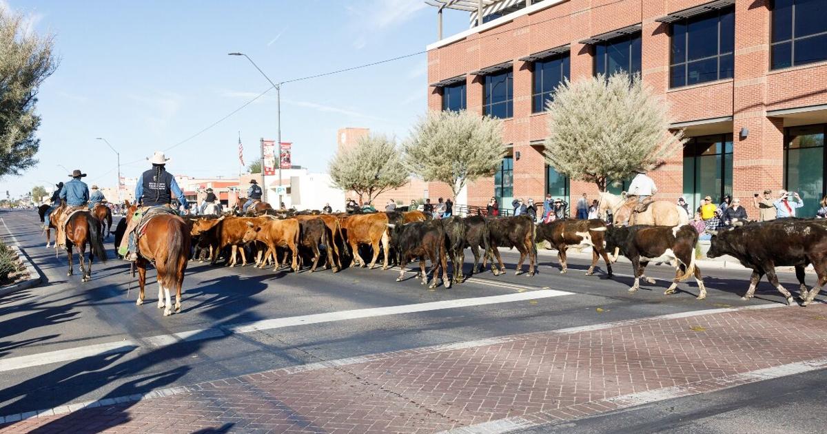 Cowboy up for Buckeye Days News