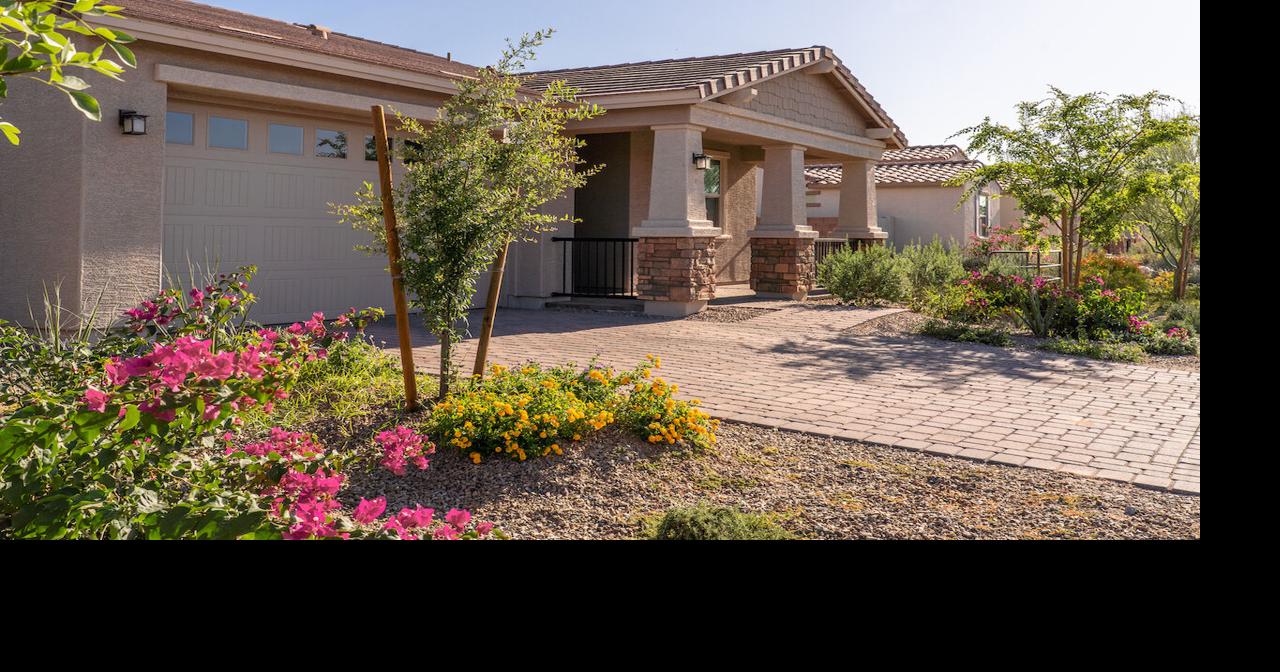 Avondale enacts shortterm rental ordinance News