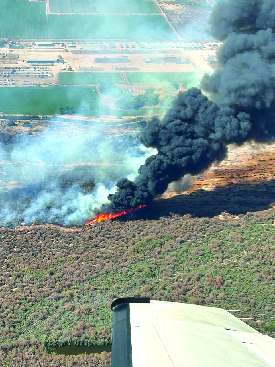 Hazen Fire reaches nearly 1,000 acres uncontained | News ...