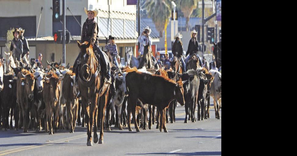 Main Street Coalition readies Buckeye Days News