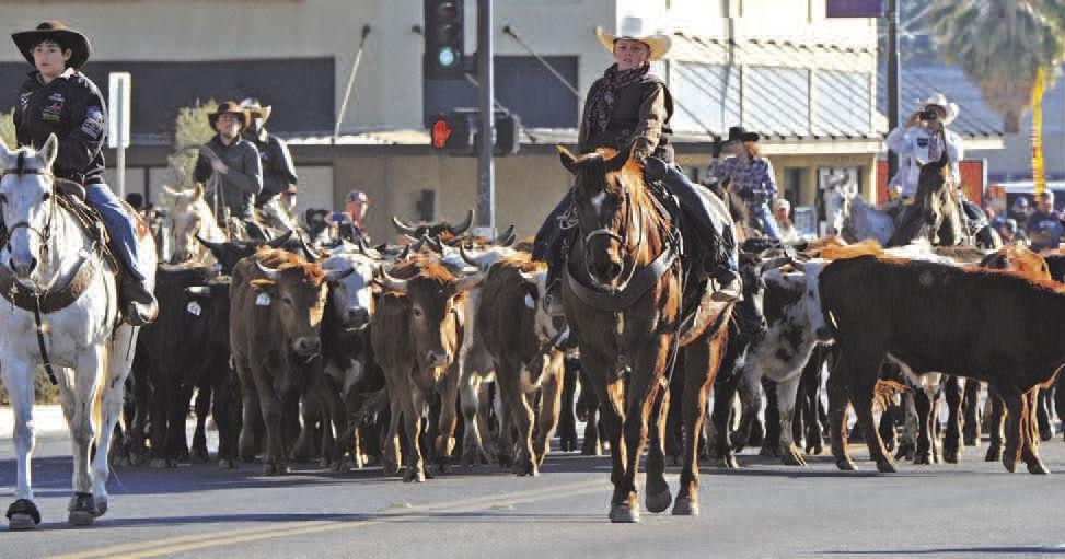 Main Street Coalition readies Buckeye Days News