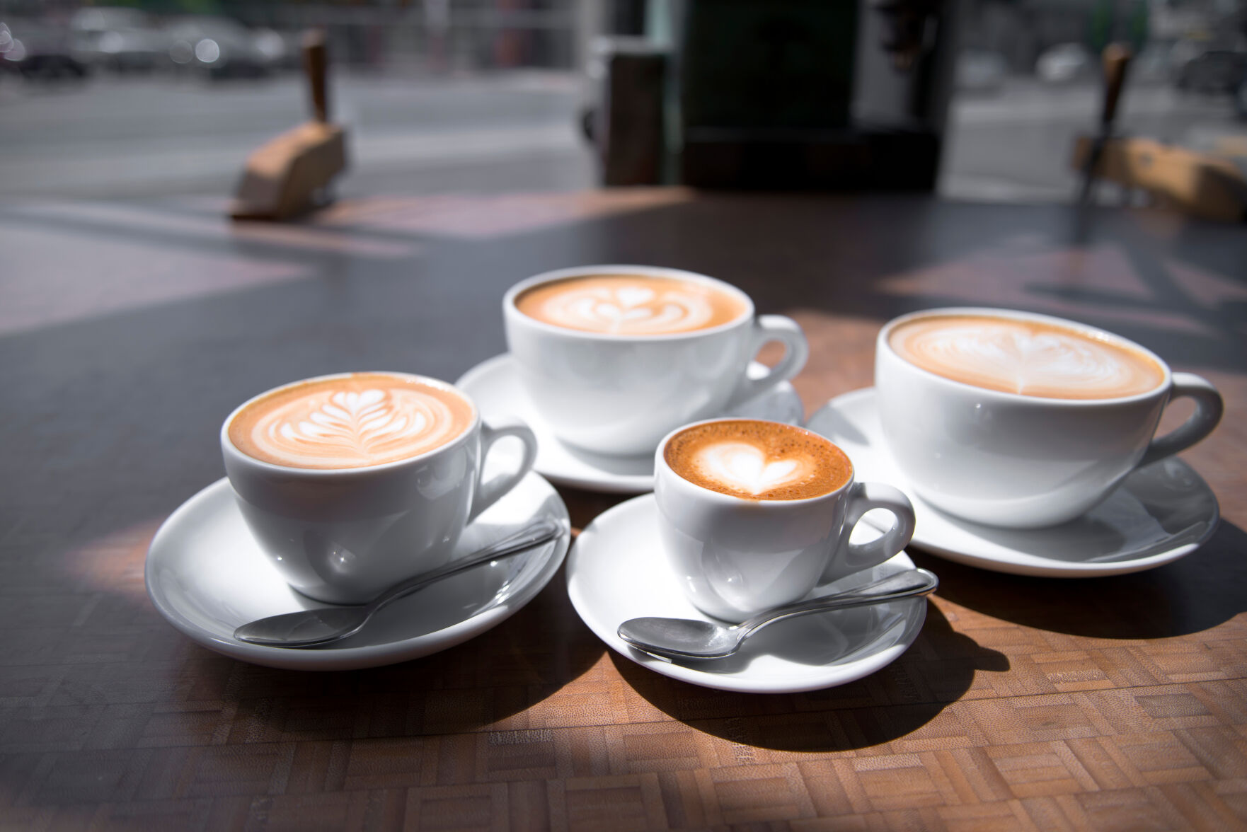 Dino Mania Event Unites Families for Fun and Adventure