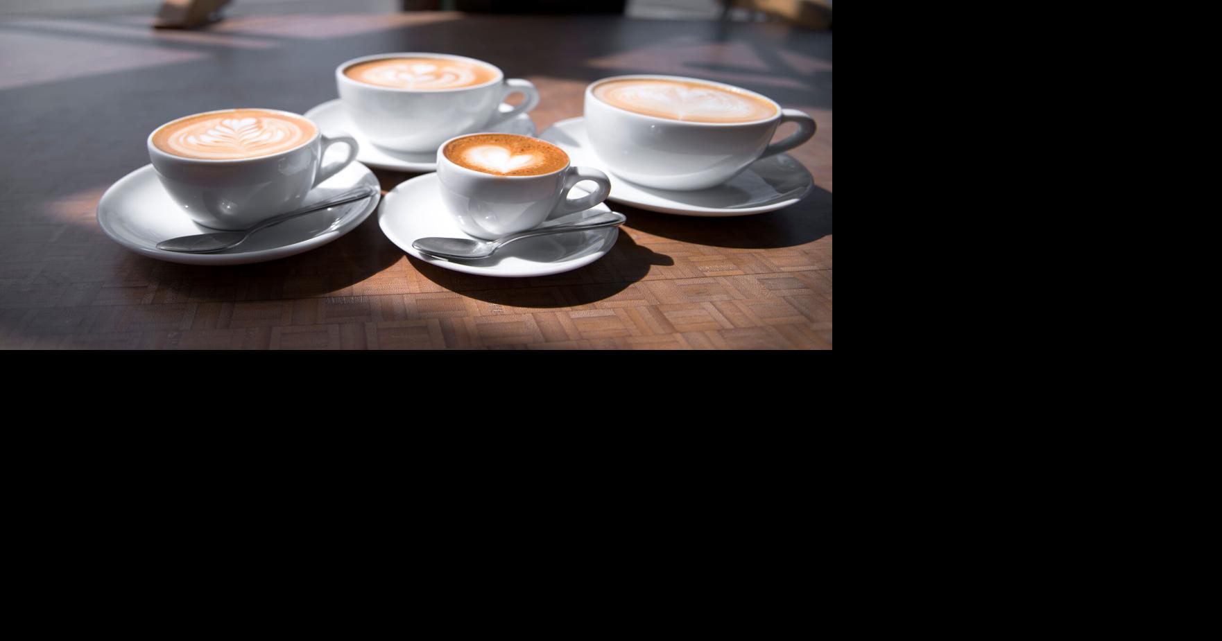 Dino Mania Event Unites Families for Fun and Adventure