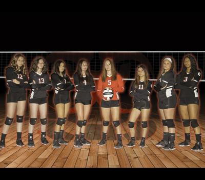 cool volleyball team pictures