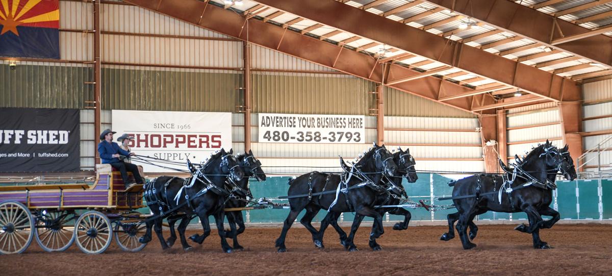 Draft horses’ talents on display in Buckeye Features