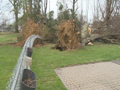 Cleanup continues after weekend storms cause fallen trees, downed ...