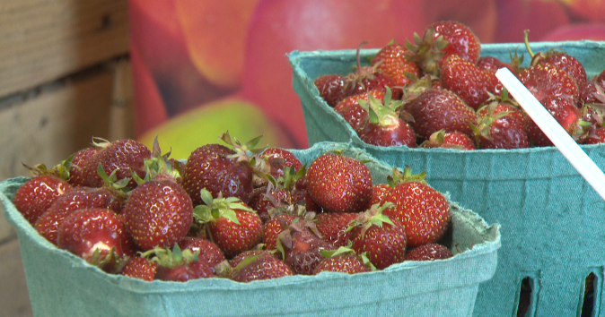 Valley farmers predict small, short strawberry season