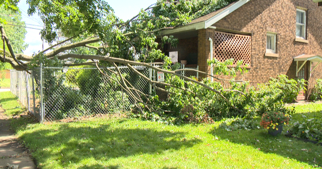 Trees damage multiple homes during storms across the Valley