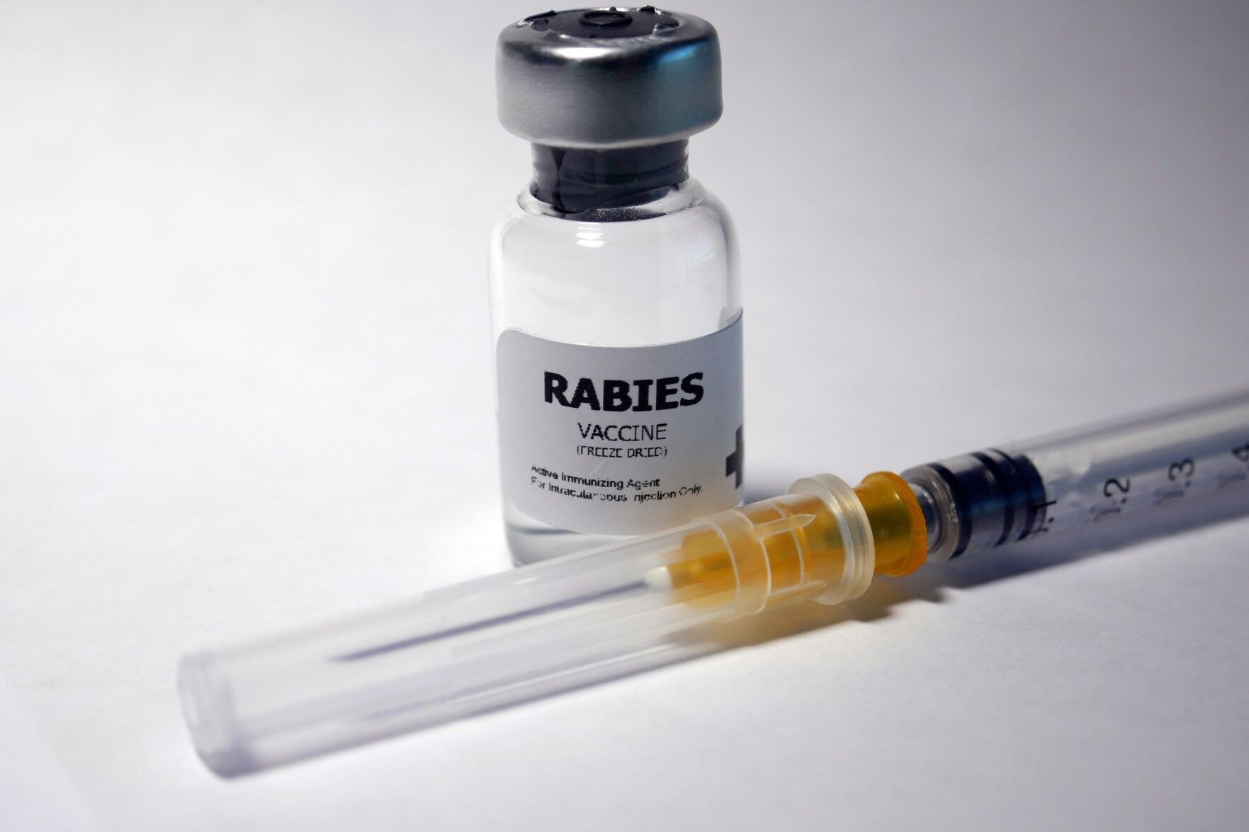 MCPH, Angels For Animals hosting low-cost rabies vaccine clinic ...